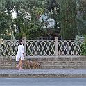 Walking with my dog (1)